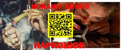 индика Гатчина
