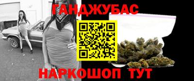 индика Гатчина