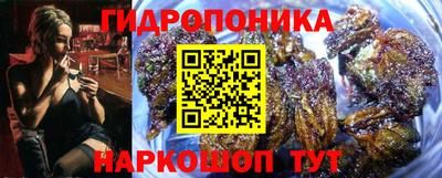 индика Гатчина
