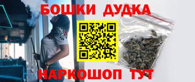 индика Гатчина
