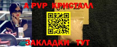 индика Гатчина