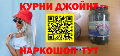 индика Гатчина
