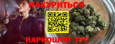 индика Гатчина