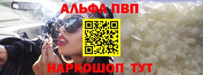 индика Гатчина