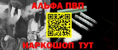 индика Гатчина