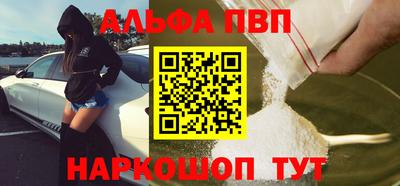индика Гатчина