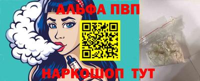индика Гатчина