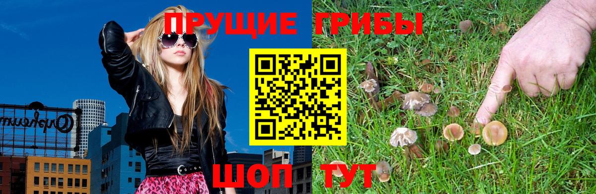 Люберцы  Псилоцибиновые грибы Magic Shrooms  Вход с VPN 